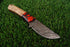 Custom Damascus Steel Fixed Blade Skinner with Red Resin & Olive Wood Handle (JA-126)