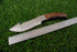 Professional Fixed-Blade Skinner with Integrated Gut Hook and Walnut Handle (AW-127)