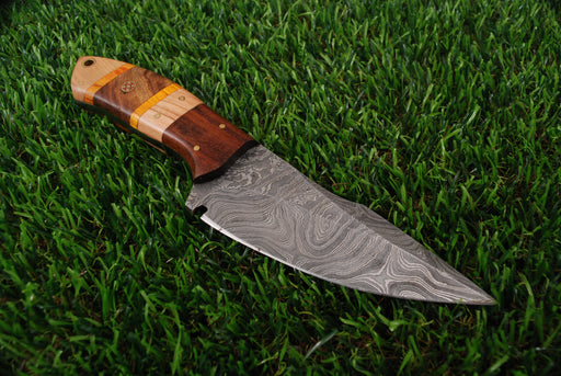 Premium Damascus Steel Skinner with Multi-Tone Exotic Wood Handle (AW-129)
