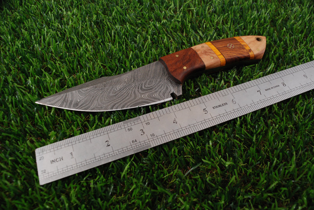 Premium Damascus Steel Skinner with Multi-Tone Exotic Wood Handle (AW-129)