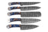 AW-052 Handmade 5-Piece Professional Damascus Steel Chef Knife Set with Blue & Brown Resin Handles and Suede Leather Roll Bag