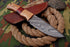 AW-003 Handcrafted Damascus Steel Fixed Blade Knife with Wooden Handle & Leather Sheath