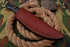 AW-007 "The Trailblazer" Handmade Damascus Steel Hunting & Skinner Knife with Rich Wood & Horn Handle