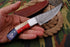 AW-009 "Lone Star" Handmade Damascus Steel Hunting Knife with Texas Flag Handle & Leather Sheath