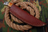 AW-010 "The Trail Boss" Handmade High-Carbon Steel Hunting & Survival Knife with Spine Serration and Bone Handle