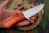 AW-011 "The Woodsman" Classic Drop Point Hunting Knife with Polished Blade and Rich Wood Handle