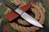 AW-019 "The Guide II" Handmade High-Polished Steel Hunting Knife with Dark Wood or Micarta Handle
