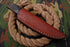 AW-019 "The Guide II" Handmade High-Polished Steel Hunting Knife with Dark Wood or Micarta Handle