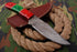 AW-034 "The Woodland" Handmade Damascus Steel Drop Point Hunting Knife with Red & Green Wood Handle