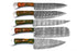 (AW-56) Custom 5-Piece Damascus Steel Chef Knife Set – Green & Amber Hybrid Burl Handles with Suede Roll Bag