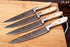 (AW-84) 4-Piece Professional Damascus Steel Steak Knife Set with Polished Bone Handles