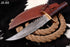 AW-89 Hand-Forged Damascus Steel Sawback Bowie Knife with Brass Guard and Rosewood Handle