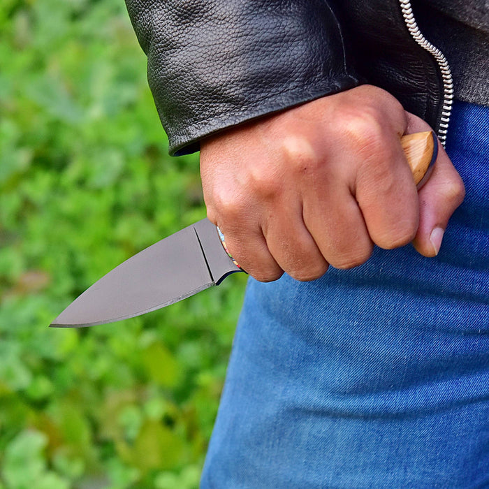 Professional Fixed Blade Skinner with Rainbow Accents AW-107